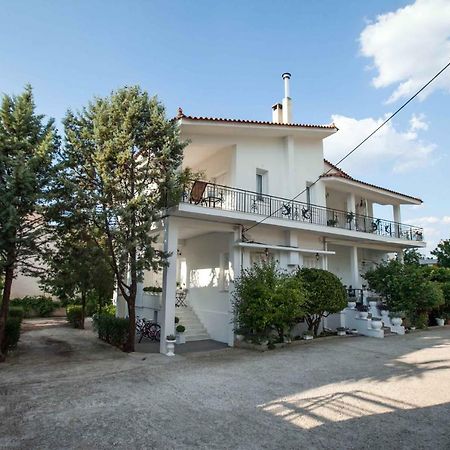 All You Need Is Nafplio Appartement Buitenkant foto
